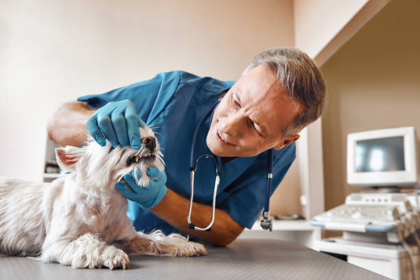 Best Emergency Denture Repair in Dawson, TX