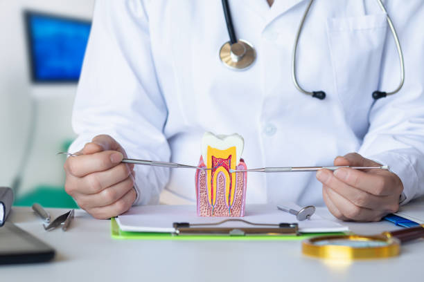 Best Emergency Dental Care for Broken or Chipped Teeth in Dawson, TX